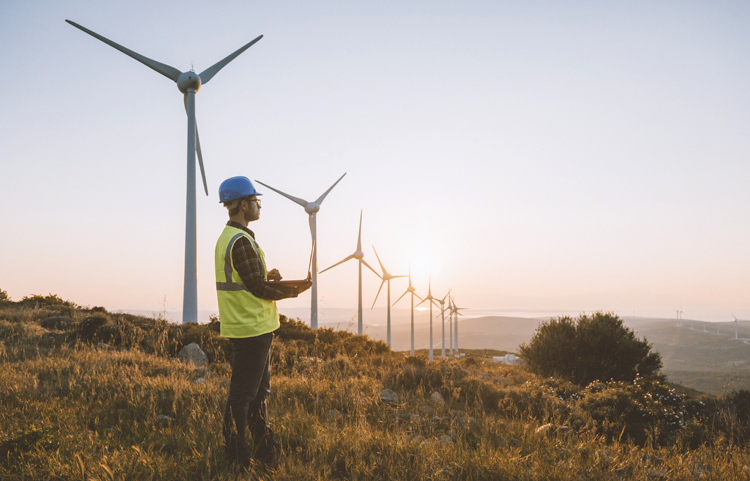 Homme dans un parc d'éoliennes